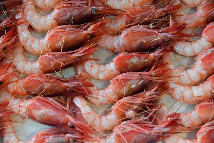 tempura fatta in casa: gamberoni 