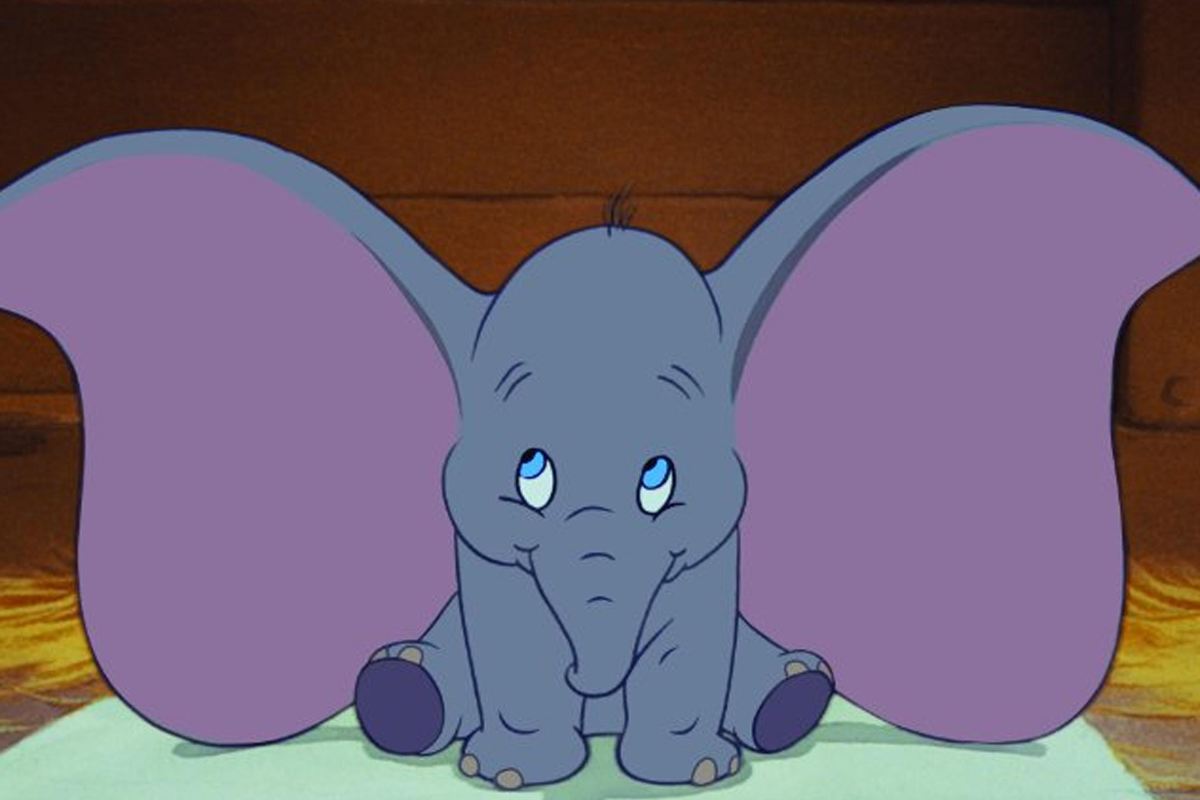 Dumbo esiste: ecco com'è davvero